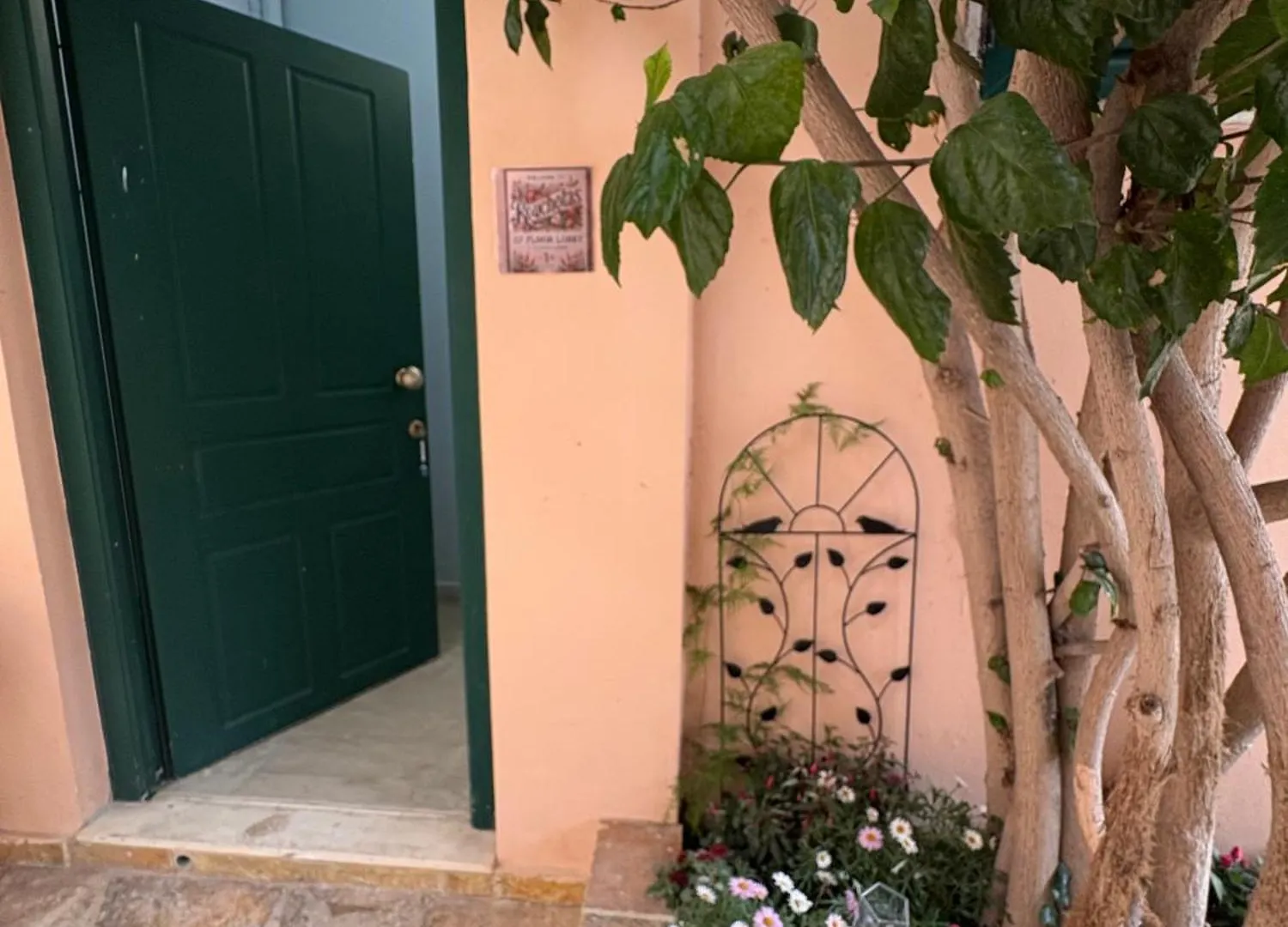 Rouchotas Studios By Viktor 1Rst Floor Argostoli  Apartment Argostoli (Kefalonia)